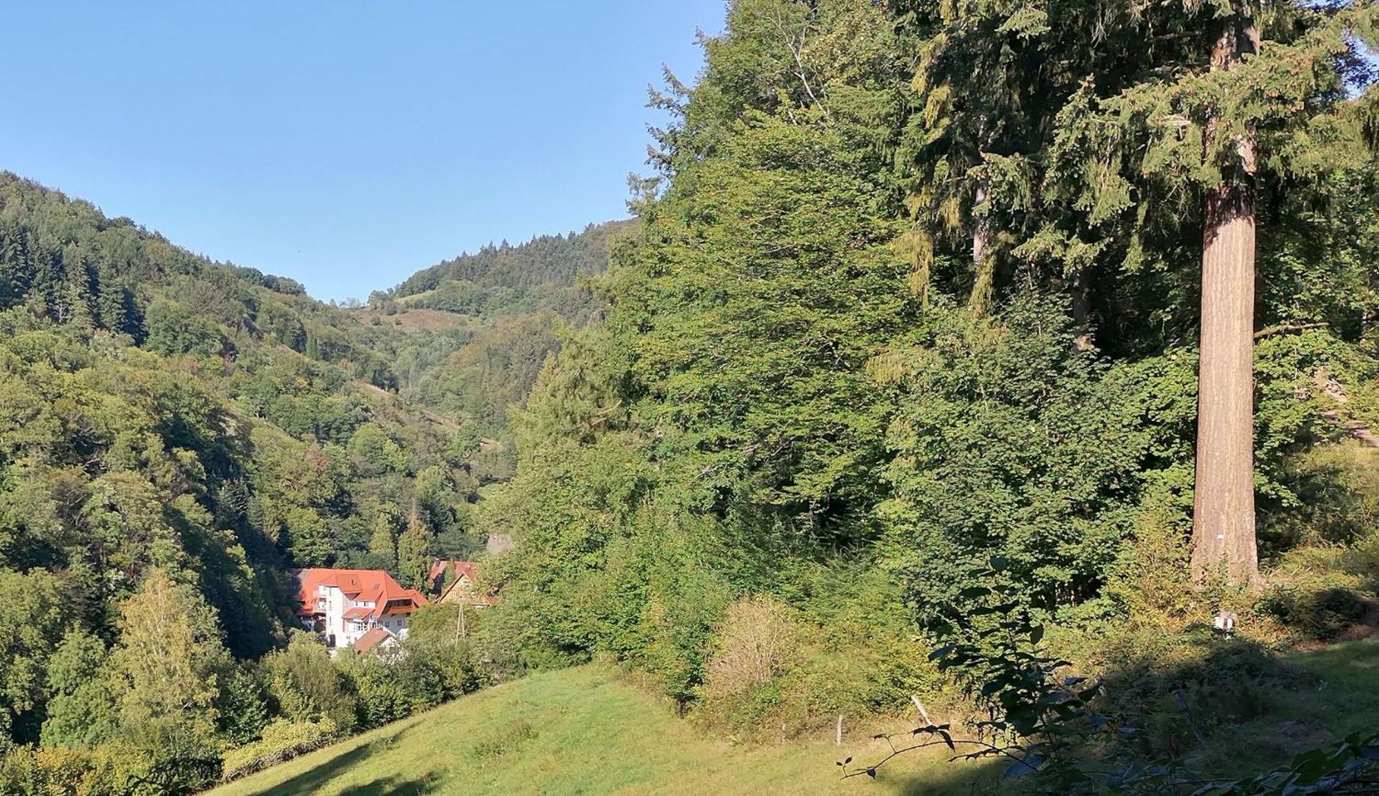 Huberhof Pfaffenbach Villa Gengenbach Exterior foto