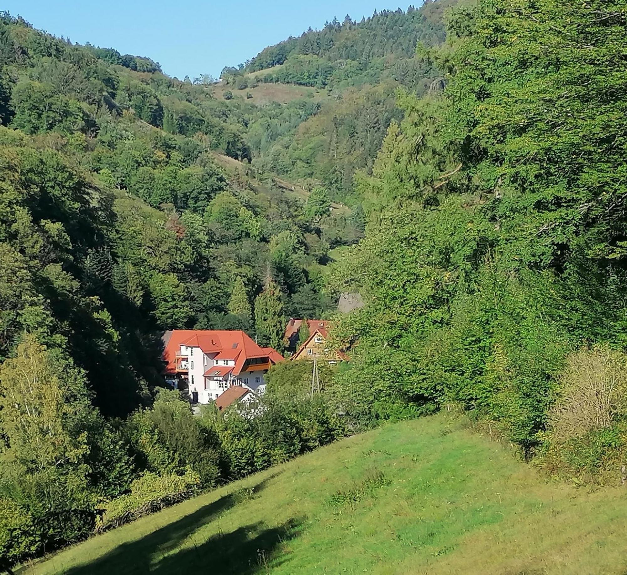 Huberhof Pfaffenbach Villa Gengenbach Exterior foto